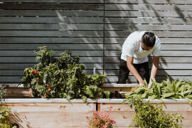 Lidl a záhradníčenie: Zelený svet kvalitných možností pre každého záhradníka