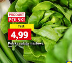 Polska sałata masłowa