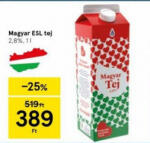 Magyar ESL tej
