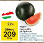 Magyar magszegény görögdinnye