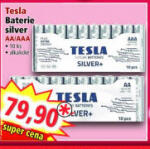 Tesla Baterie silver