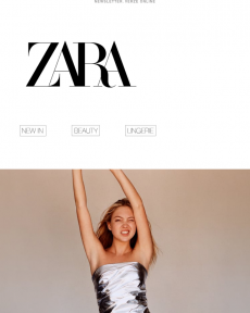 ZARA - SUNLIGHT MOMENT: sequins and metallics