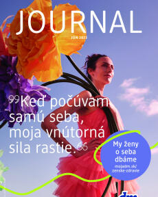 dm Journal