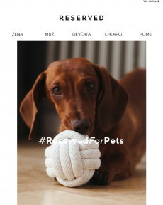 RESERVED - Elegantní vychytávky pro vaše čtyřnohé parťáky - Reserved For Pets