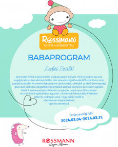 Rossmann - Baba Program