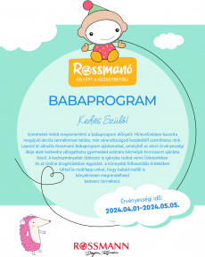 Rossmann - BabaProgram