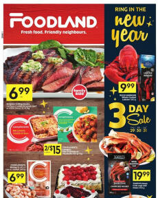 Foodland flyer from Thursday 29.12.