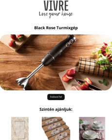Vivre - A Berlinger Haus botmixer, Black Rose, rozsdamentes acél tökéletes a konyhába. Love Your Home
