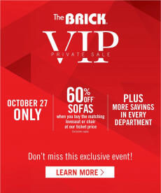 The Brick flyer VIP