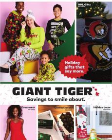 Giant Tiger flyer from Wednesday 02.11.